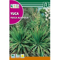 Semillas de plantas tropicales - Viveros Aznar - Zaragoza