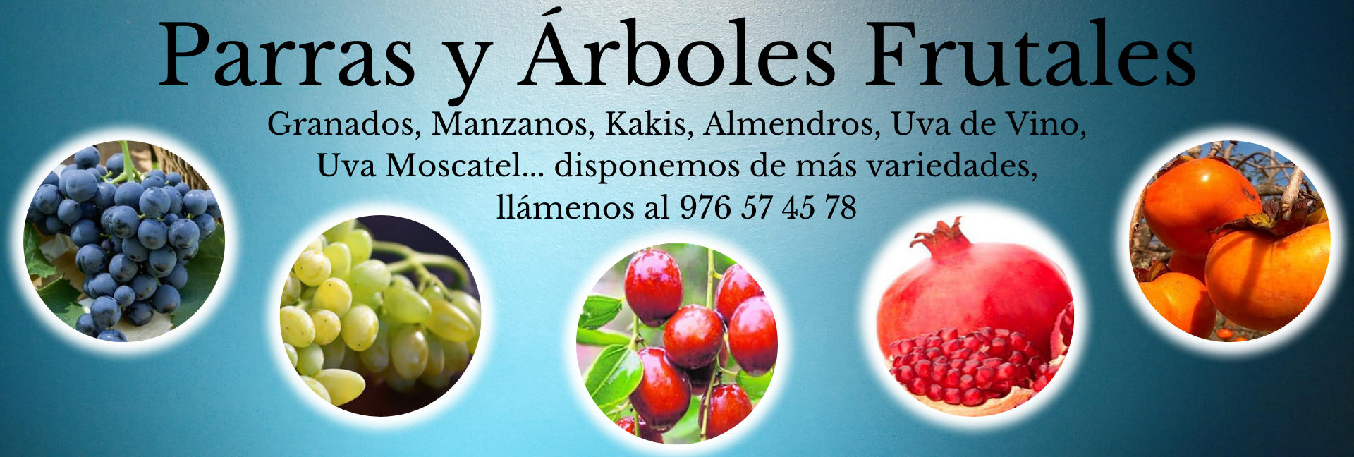 Frutales - Viveros Aznar